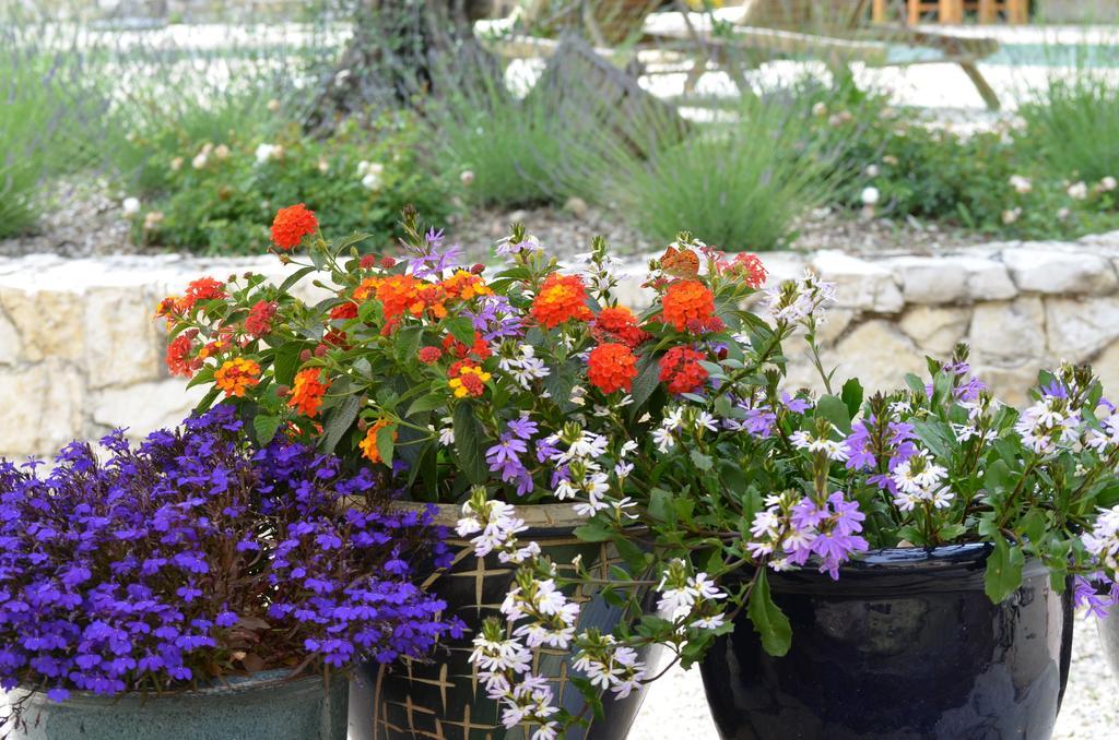 Bed and breakfast Hameau D'hotes La Roseraie-drome